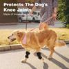 Dog Knee Brace Suitable for Recovery of Loss of Stability Caused by