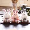 Ins Dudu Rabbit Plush Toy Doll Cute Little Rabbit Pendant White Rabbit Bag Hanging Decoration Keychain