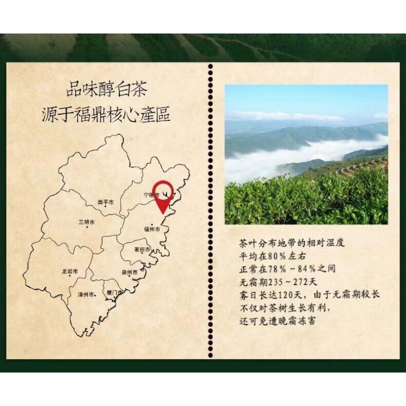 300 г Чайный торт Fuding Белый пион Tribute Eyebrow Shoumei Flower Hao Fragrance