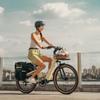MIHOGO AIR Online electric bicycles T800 carbon fiber frame 750W rear brushless permanent magnet motor