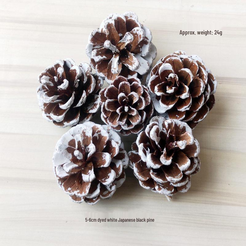 2023 Шишки и Сушеные Цветы для Рождественского DIY: Сосна пондероза, Сосна ладанная, Ель