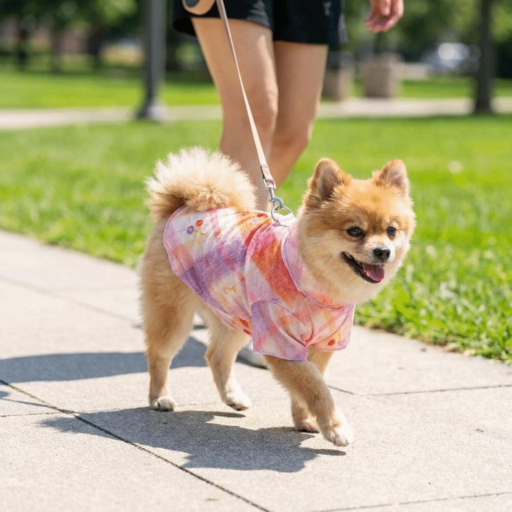 Cooling Pet T-Shirt Thin Breathable Sun Protection Clothes Dog Sunscreen Clothes Outdoor Activity