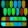 Glow In Dark Nail Glitter Powder DIY Manicure Tips Luminous Pigment Decoration