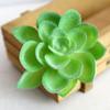 Artifical Plastic Succulent Plant Cactus-Echeveria-Flower Home Office Decor Gift