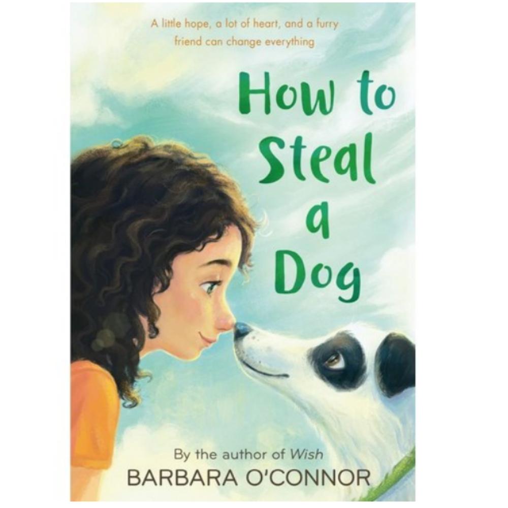 How to Steal a Dog / Barbara O'Connor : English Novel