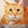 Personalised Pet Cat Dog Diamond Art, Custom Diamond Painting with Photo 5D Diamond Art Kits for Adults (Round Drill)