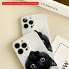 2DFlat Black Cat Eyes Up Close Phone Case All inclusive film hard phone case, compatible with iPhone 18 Pro Max 17 16 15 14 13 12 11
