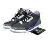 Air 3 Retro Court Purple Jordan 3 AJ3 Court Purple CT8532-050