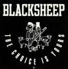 12-дюймовая пластинка BLACK SHEEP - The Choice Is Yours 8660871 Mercury 1991 США Рэп и хип-хоп/R&B Б/У
