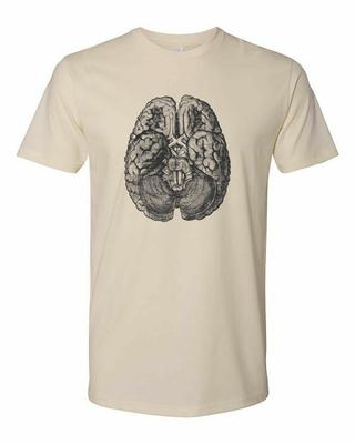 Коттедж Cult Clothing Футболка Хлопок Медицинская Анатомия Викторианское Искусство Мозг #4
