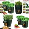 Practical And Lightweight Garden Plant Tools For Homegrown Food On Balconies And Patios