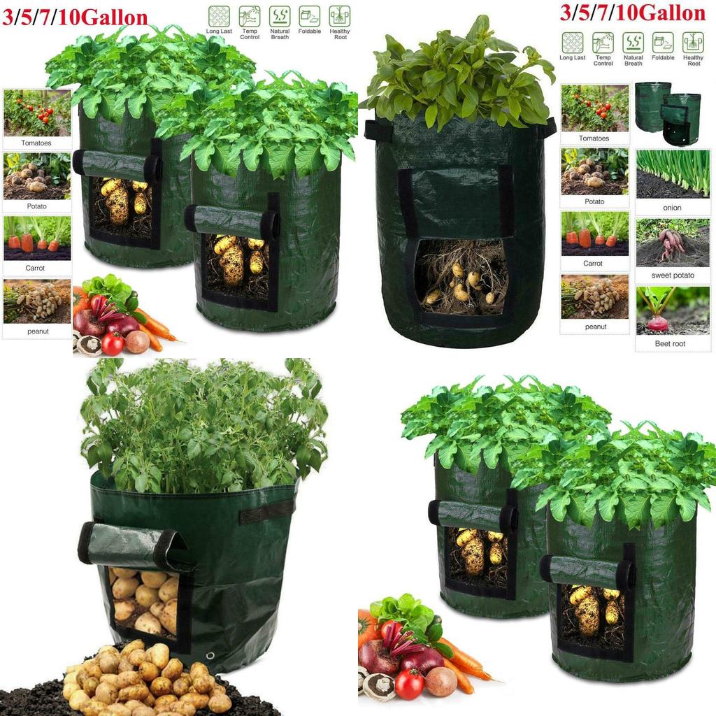 Practical And Lightweight Garden Plant Tools For Homegrown Food On Balconies And Patios