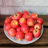 Simulation Apples Small 10pcs Decoration Fruit Home