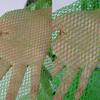 Fisherman Foldable Fishing Cage Nylon Mesh Fishing Net Bait Trap For Catching Fish Crab Crayfish