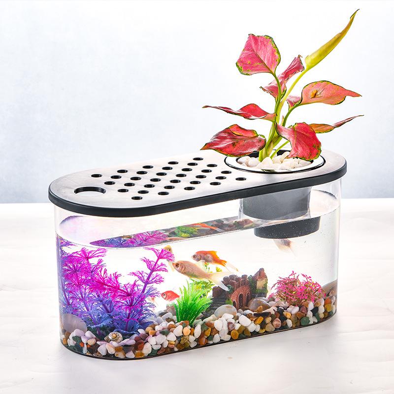 Clear Plastic Fish Tank for Desktop Landscaping - Turtle, Goldfish, Micro Ecosystem Aquarium