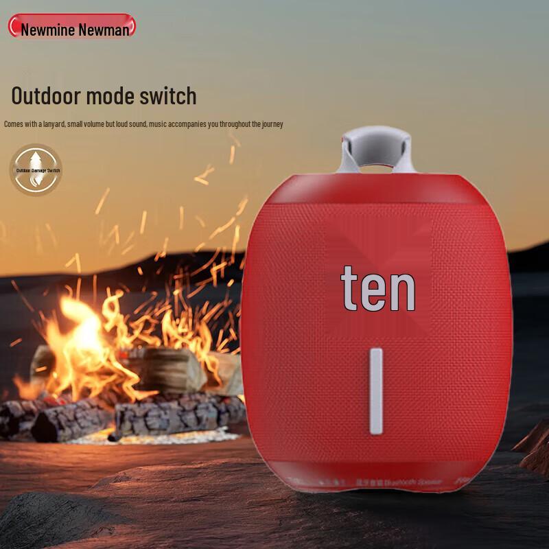 Newmine BT86 Portable Bluetooth Speaker