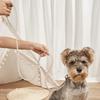Artificial Pearl Dog Lead Leash Anti-Escape Dog Walking Lead Pet Traction Rope  for Dogs Cats