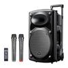 Портативная Bluetooth-колонка Newsmy B12 12 дюймов на колесиках с двумя микрофонами, штекер CN (адаптер в комплекте)