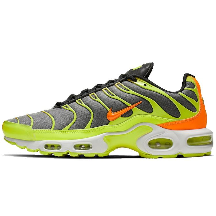 Nike Air Max Plus 'Color Flip' Мужские CI5924-061
