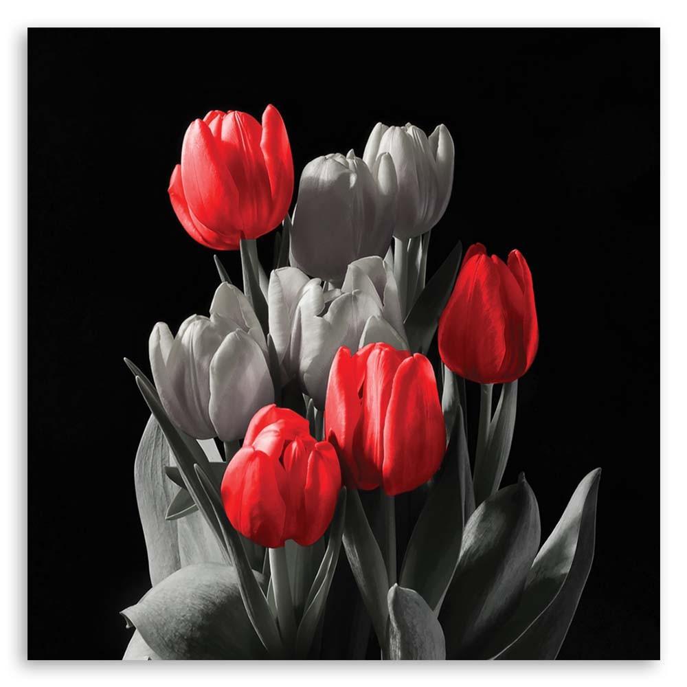 Canvas Print Tulip Blossom Red Grey