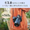 Nikon NIKKOR Z 28-75mm f/2.8 Nikon mirrorless SLR
