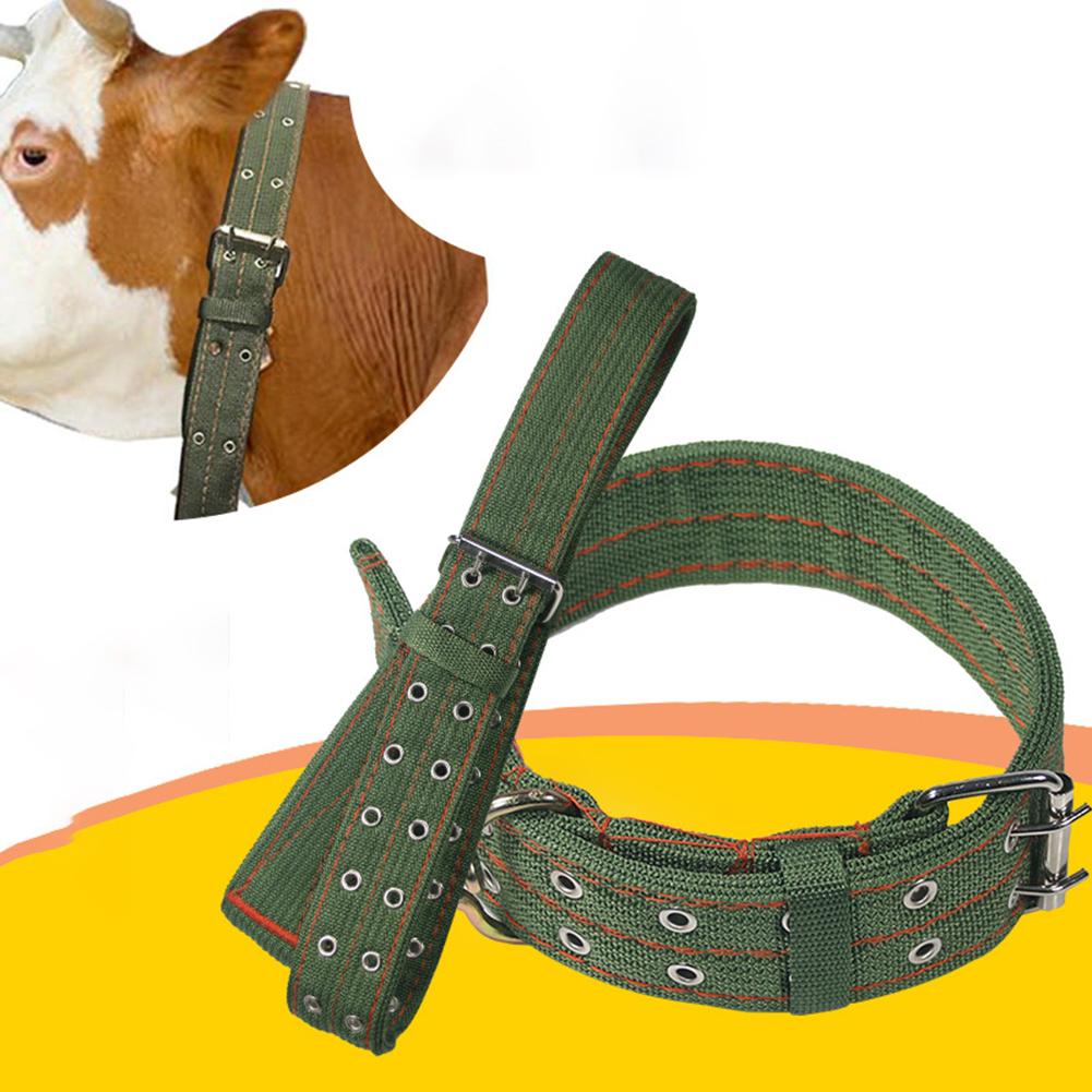 Canvas Cow Sheep Hauling Collar Adjustable Length Veterinary Equipment Livestock Feeding Supplies