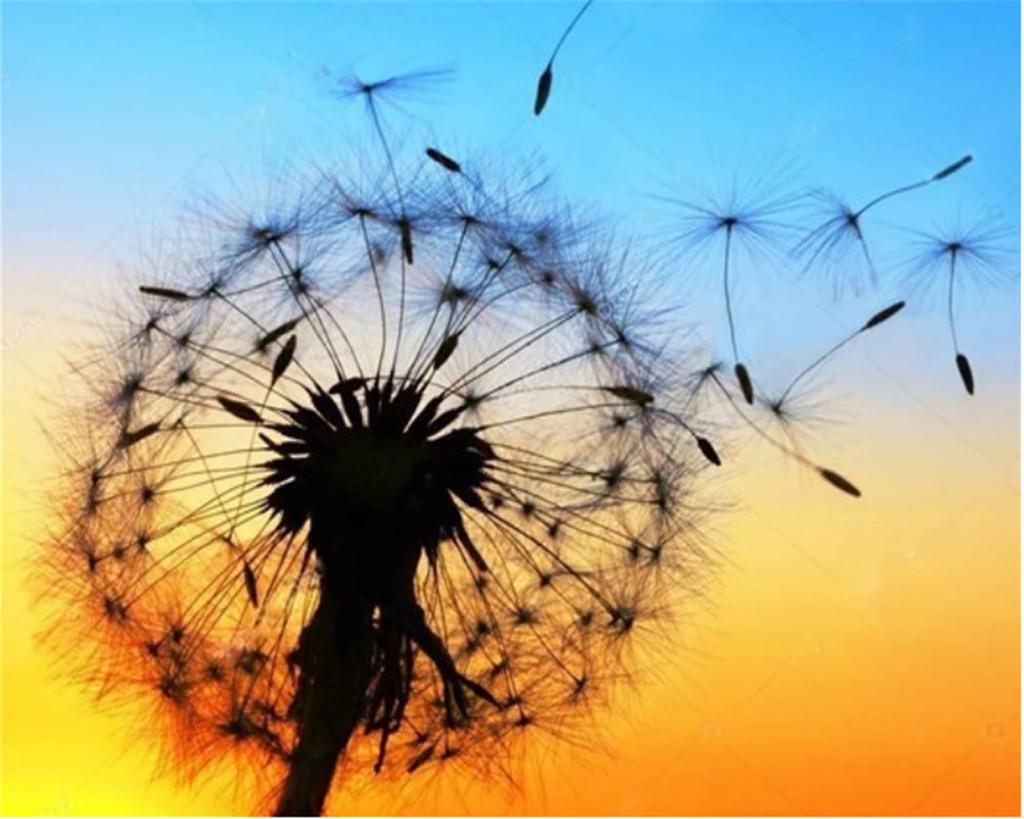 5D Diy Diamond Painting Dandelion Diamond Embroidery Mosaic Sunset Flower Cross Stitch Mosaic Picture Home Decoration Gift