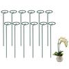 12Pcs Plant Support Stakes Rustproof Corrosion Resistant Easy Install Heavy-Duty Metal Plant Rings Garden Stakes