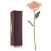Pink White 24k Gift Gold Rose Forever Long Stem Dipped Rose Handcrafted Gift