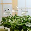 3pcs Self Watering Devices Watering Sticks Cat Shaped Garden Tools Plant Watering Bulbs Cute Glass Automatic Drip Irrigation