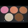 MI Beauty Cheek Blusher Shading Highlighter Makeup Beauty Academy Makeup, Ivory, 1 шт.