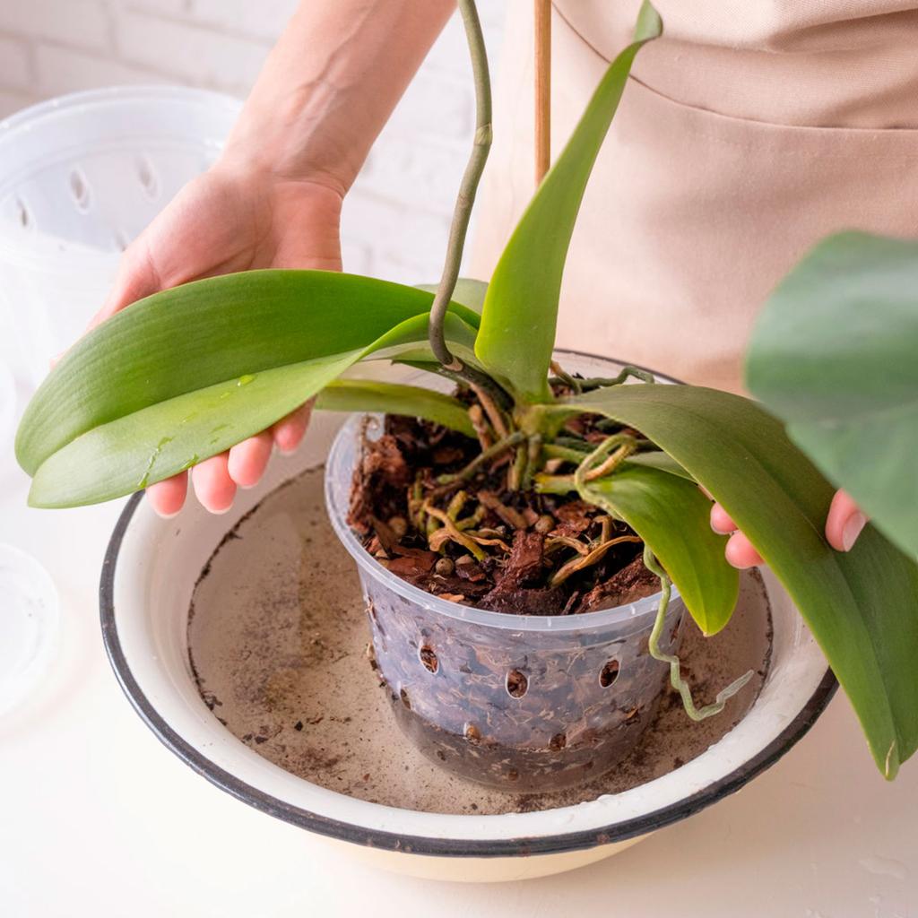 Горшок для цветочного растения 4/5/6 дюймов, прозрачный горшок для орхидеи с отверстиями и поддонами, прочные пластиковые горшки с прорезями, садовые принадлежности