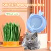 Mint Cat Grass Pot Soilless Hydroponic Lazy Cat Grass Planting Box Catnip Promote Digestion Cat Snacks Planting Container Tools