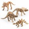 Explore The Fascinating World Of Dinosaurs With Our Durable Skeleton Model Toy Collection