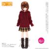 Azone International 1:Обувь 6-го масштаба, шнуровка, полудлинные сапоги, коричневый наряд для кук