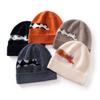 Cute cartoon puppy embroidered wool hat women's winter warm and cold knitted hat versatile couple pullover hat tide
