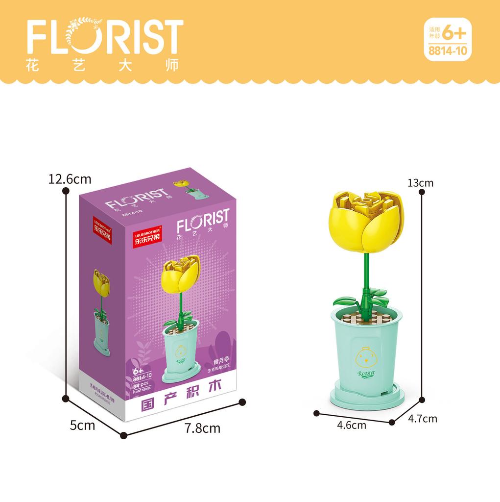 Tiny Particles Building Block Bouquet Potted Succulents Compatible Tabletop Ornament Model Educational Assembly Toy