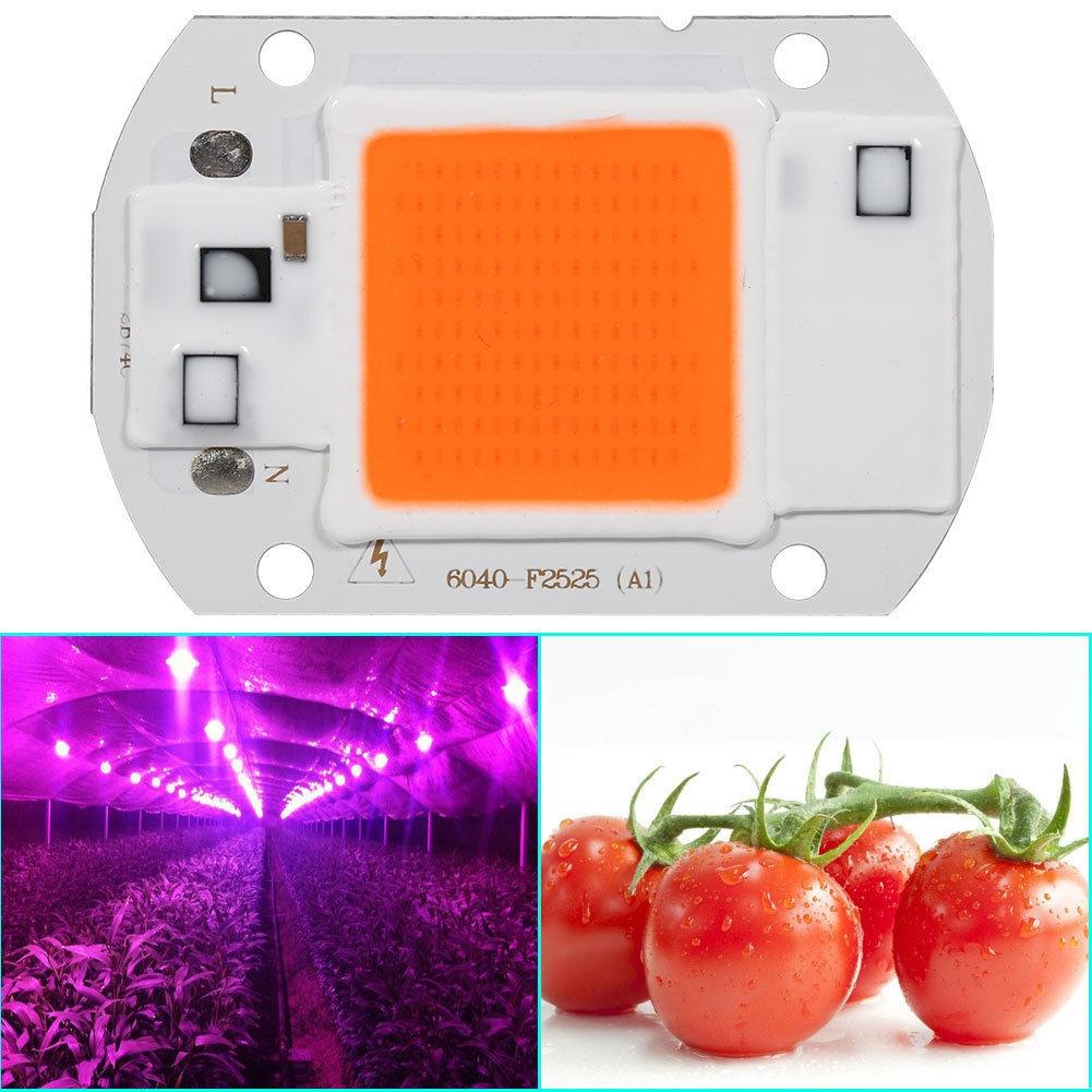 20/30/50W Full Spectrum LED COB Chip Grow Light Plant Growing Lamp Bulb 220/110V