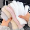 Fashion Winter Five Finger Gloves Warm Cold-proof Gloves Women Outdoors Cycling Solid Color Gloves