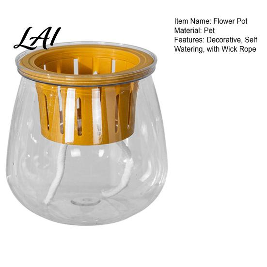 Water Reservoir Planter Self Watering for Indoor Plants Transparent Hydroponic Planter Decorative Clear Plastic Plant Holder Flowerpot with