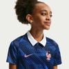 Nike Сезон 2026 Французская команда Большие мальчики Быстросохнущая Футбольная майка Летняя Новая для мальчиков и девочек NIKE IB5129