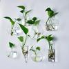 Clear Glass Planter Wall Hanging Flower Vase Plant Bottle Home Decor