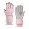 Winter Ski Gloves Men Women Thick Warm Windproof Waterproof Touchscreen Outdoor Snowboarding Cycling