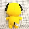 Cartoon BTS Dolls BT21 Bangtan Boys Plush Toys Korea Stars TATA Peluche VAN COOKY RJ CHIMMY Plushies Birthday Gift Girl Child