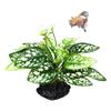 Simulated Reptile Plants For Terrarium Decor, Realistic Artificial Water Plants With Base Amphibian Habitat Decoration, Snake Tortoise Tank Accessorie