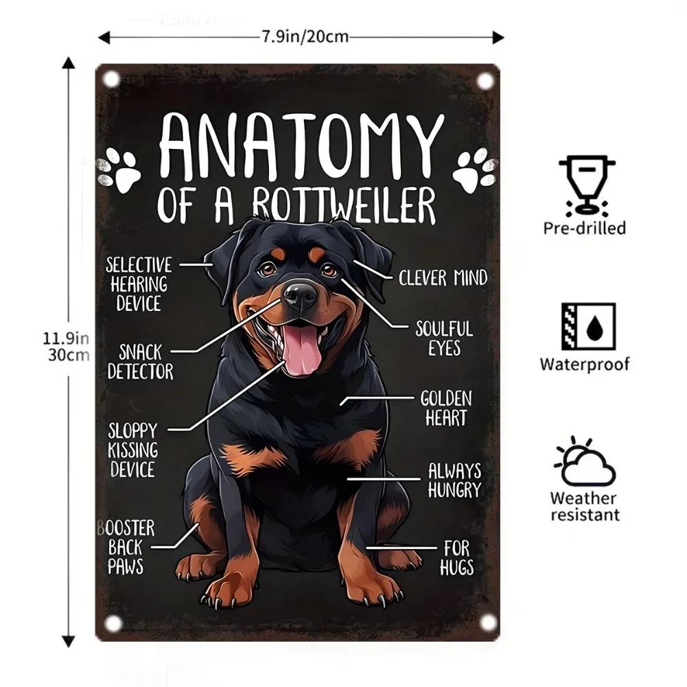Vintage Rottweiler Anatomy Metal Wall Art x Inch Iron Dog Poster for Home Decor Retro BreedSpecific Illustration