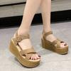 Fashion Summer Fashion Paragraph Sandals Women's Sponge Shoes High Heels Sloping Heels Waterproof Platform Thick Sole Strap Buckle