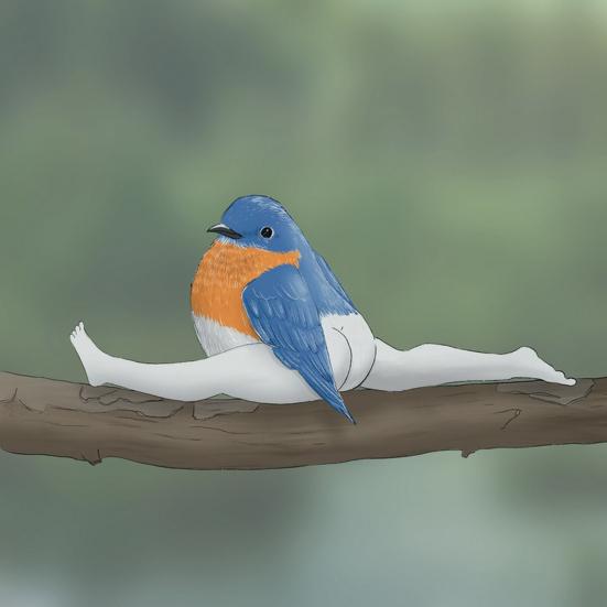 Настенный календарь на 2024 год с рисунком птицы, большой письменный планировщик, ежедневные мероприятия, забавный настенный календарь