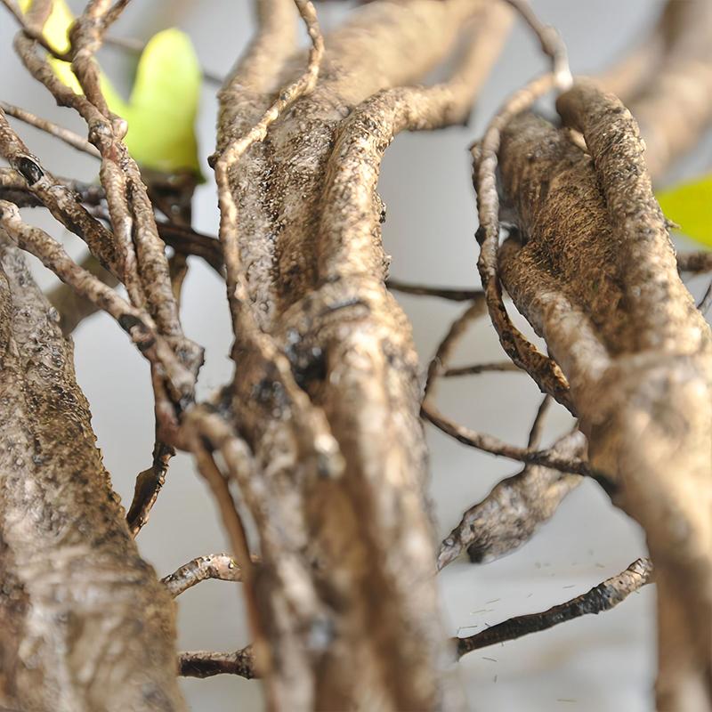 1PC Tree Branches DIY 35" Bendable Artificial Ratta Wedding Home Decor Dead Tree Vine 90CM Fake Twig Stem Lifelike with Leaves