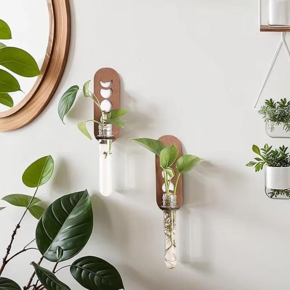 Подставка для растений Настенная ваза Гидропонный контейнер Подвесной кашпо Декор для дома/офиса